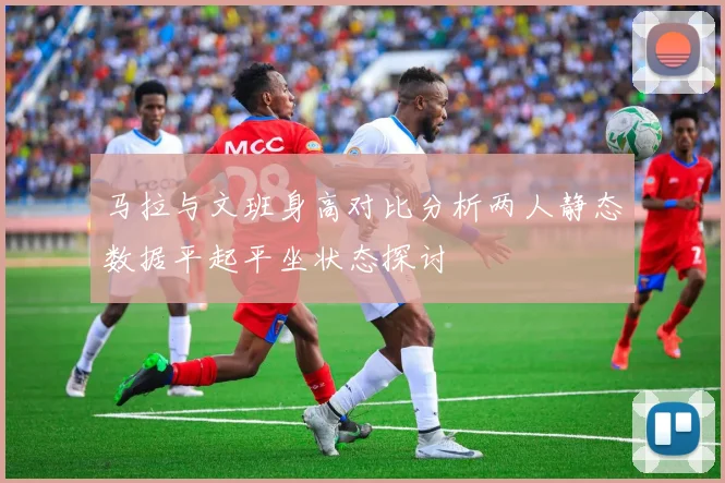 马拉与文班身高对比分析两人静态数据平起平坐状态探讨