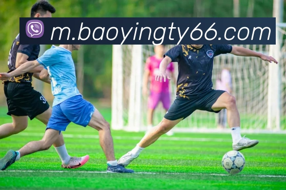 平台使命图